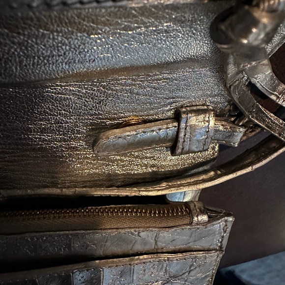 Nancy Gonzalez Metallic Crocodile Wallet On Chain| - Picture 9 of 9